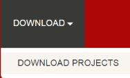 ../../_images/downloadlink.JPG